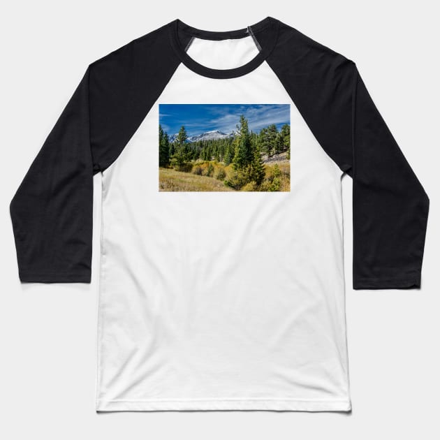 A Day In The Park With A View Baseball T-Shirt by nikongreg